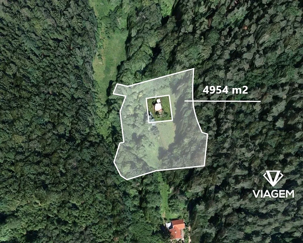 Prodej lesa 4954 m²